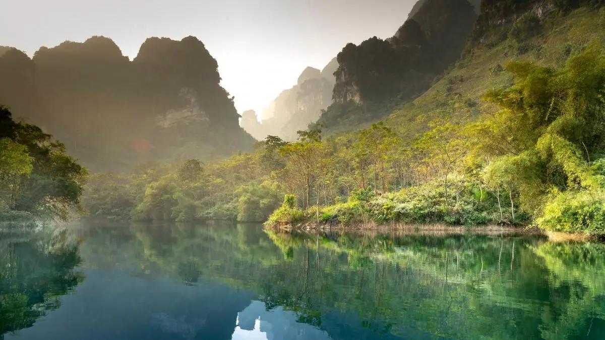 智能绿色数字化